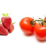 Interfel met la tomate et la fraise à l’honneur