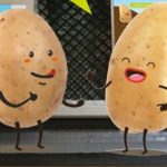 La pomme de terre s’expose… sous terre