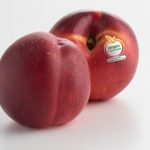 Les nectarines d’Occitanie en duo