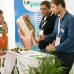 Les Asparagus Days investissent Angers