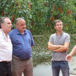 Soutenir le développement des serres en Paca