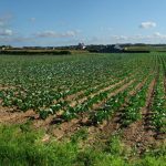 Encourager les pratiques agricoles durables en Bretagne