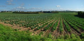 Encourager les pratiques agricoles durables en Bretagne