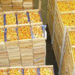 Regard d’expert commerce international : la Pologne (2/2)