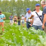 Journée cucurbitacées à Sarrians chez Syngenta