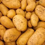 Mutualiser les expertises en pomme de terre