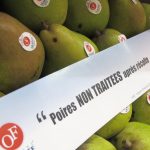 Regard d'expert GMS : les mentions sur les emballages