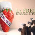 Fraises de Plougastel : cap sur l’IGP !