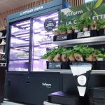 Une offre d’herbes fraîches très locales