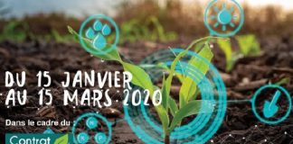 Trouver des alternatives aux produits phytosanitaires
