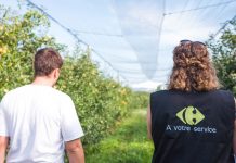Regard d'expert GMS : l’inertie et la difficulté d’évoluer en fruits et légumes