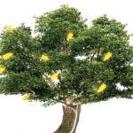 150 ans de goût, d’exigence et de savoir-faire français