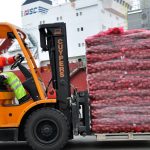 Pomme de terre : exporter sans CIPC