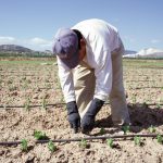 Aider le secteur agricole et alimentaire