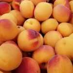 Fruits à noyau : une nouvelle association pour plus d’entraide