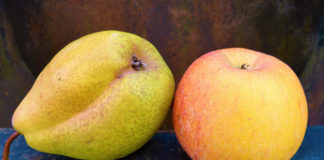 Nouvelle présidence de la Wapa