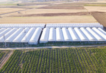 Regard d’expert commerce international : la Turquie