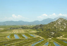 Regard d’expert commerce international : les Balkans occidentaux