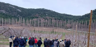 Une journée cerise pour échanger