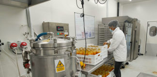 Des fruits, des légumes et de la solidarité à Marseille