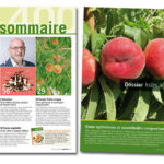 Votre magazine de juin