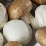 Champignon : la filière française se défend