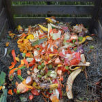 Des déchets alimentaires transformés en bioplastiques