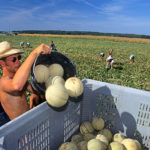 Travailler sous la chaleur