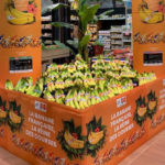 La banane aux couleurs du Tour de France