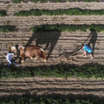 “Le monde est food” en débat