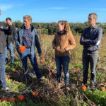 Développer la consommation de courges