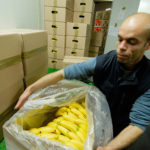 La filière banane tire la sonnette d’alarme