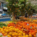 Luxembourg : le haut du panier