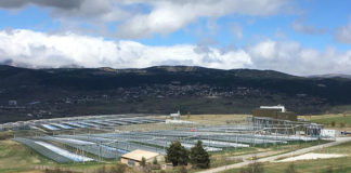 agrivoltaïsme dans les Pyrénées-Orientales