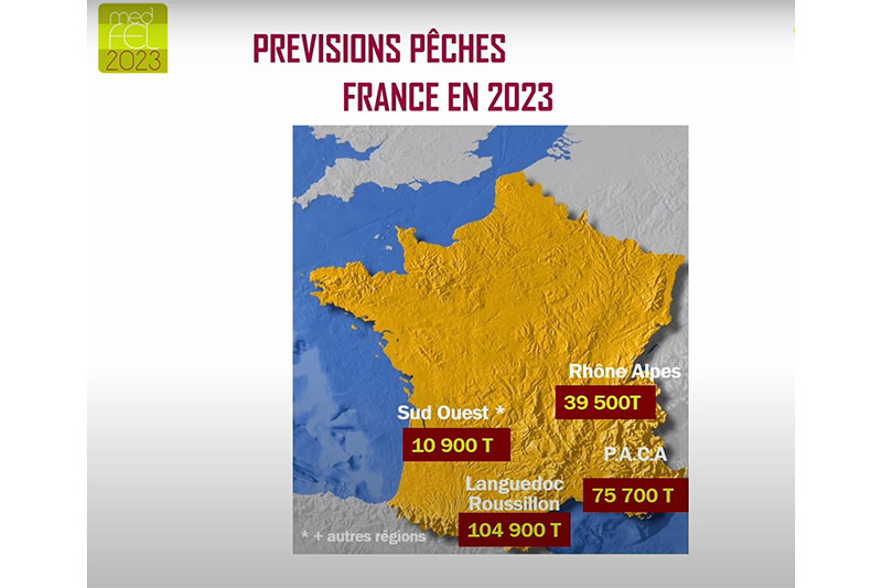 Prévisions de pêches par régions en France en 2023