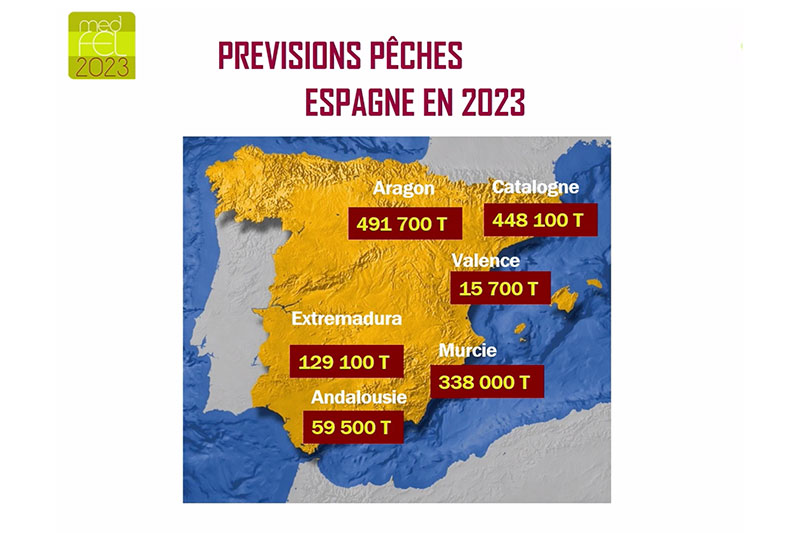 Prévisions de pêches par régions en Espagne en 2023