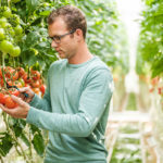 Les agriculteurs flamands accordent une grande importance à la biodiversité