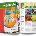 Au sommaire du numéro de juin magazine végétable de juin