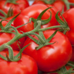 Tomate : la grappe de la discorde Tomate grappe