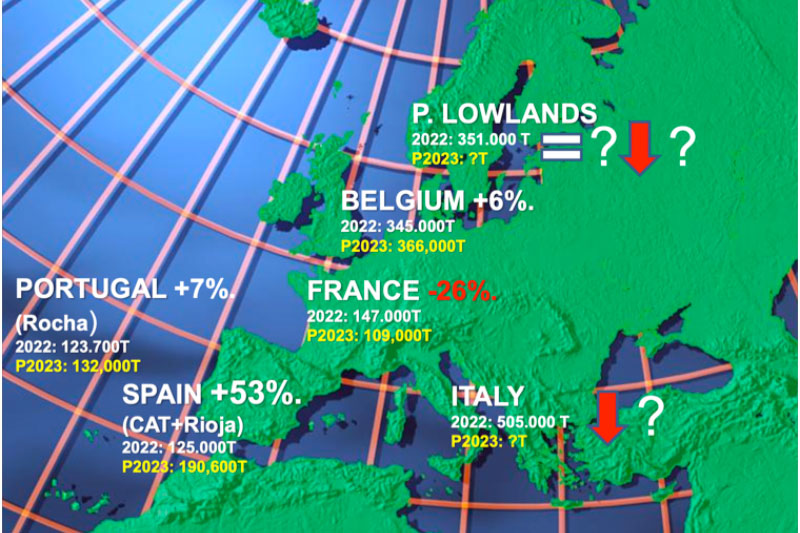 Carte d'Europe avec les prévisions de récolte 2023 de poires.