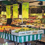 Spécialistes du frais : dossier inédit ! Magasin de GSF