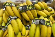 bananes bio en rayon