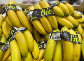 bananes bio en rayon