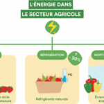 Les agriculteurs flamands deviennent plus efficaces sur le plan énergétique