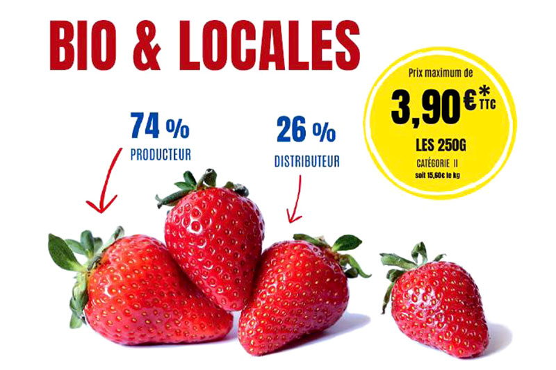 Offre de fraises bio et locales.
