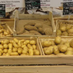 Pomme de terre : des atouts solides pour durer pommes de terre en magasin