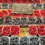 Fruits rouges : en avant les petits fruits !