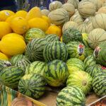 Melon : prévisions et évolutions réglementaires melons et pastèques