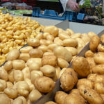 Un plan de surveillance sanitaire des pommes de terre pommes de terre en rayon