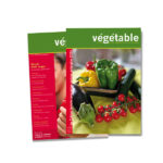 Cahiers tomate concombre poivron aubergine